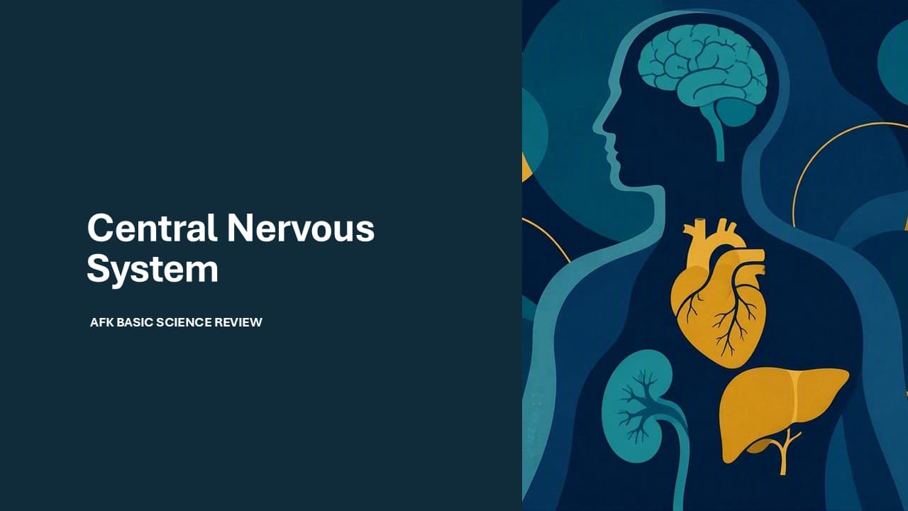 Basic Science Central Nervous System study slide 1